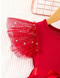 Valentine's Day Tulle Party Dress