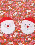 Christmas Santa Claus Appliqué Floral Dress