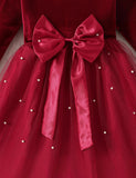 Velvet Bow Tulle Dress