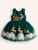 Tulle Christmas Santa & Reindeer Appliqué Dress