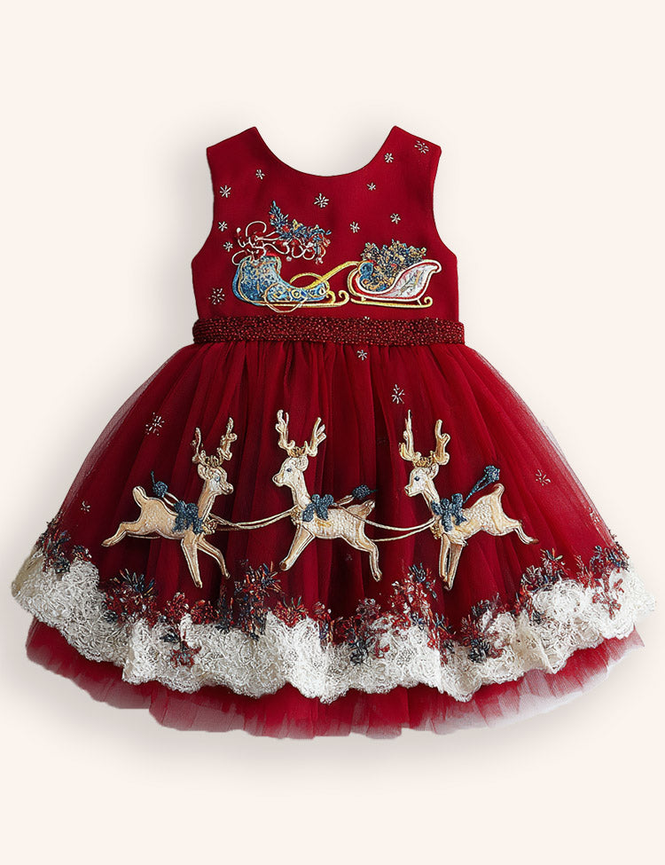Tulle Sleds Reindeer Embroidered Dress