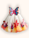 Multi Butterfly Applique Tulle Dress