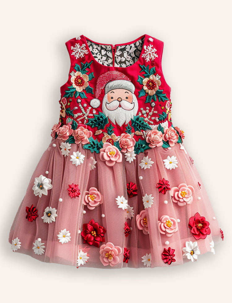 Fun Christmas Santa Claus Appliqué Tulle Dress
